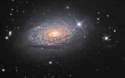 M63, Sunflower Galaxy